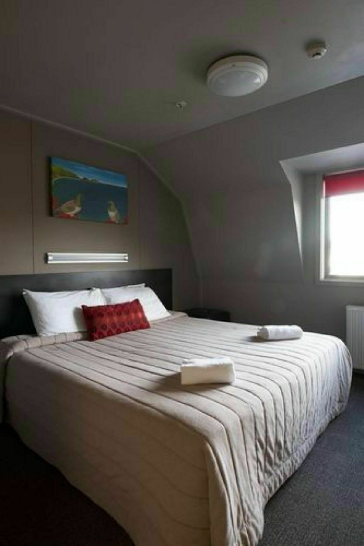 Base Wanaka Hostel Luaran gambar